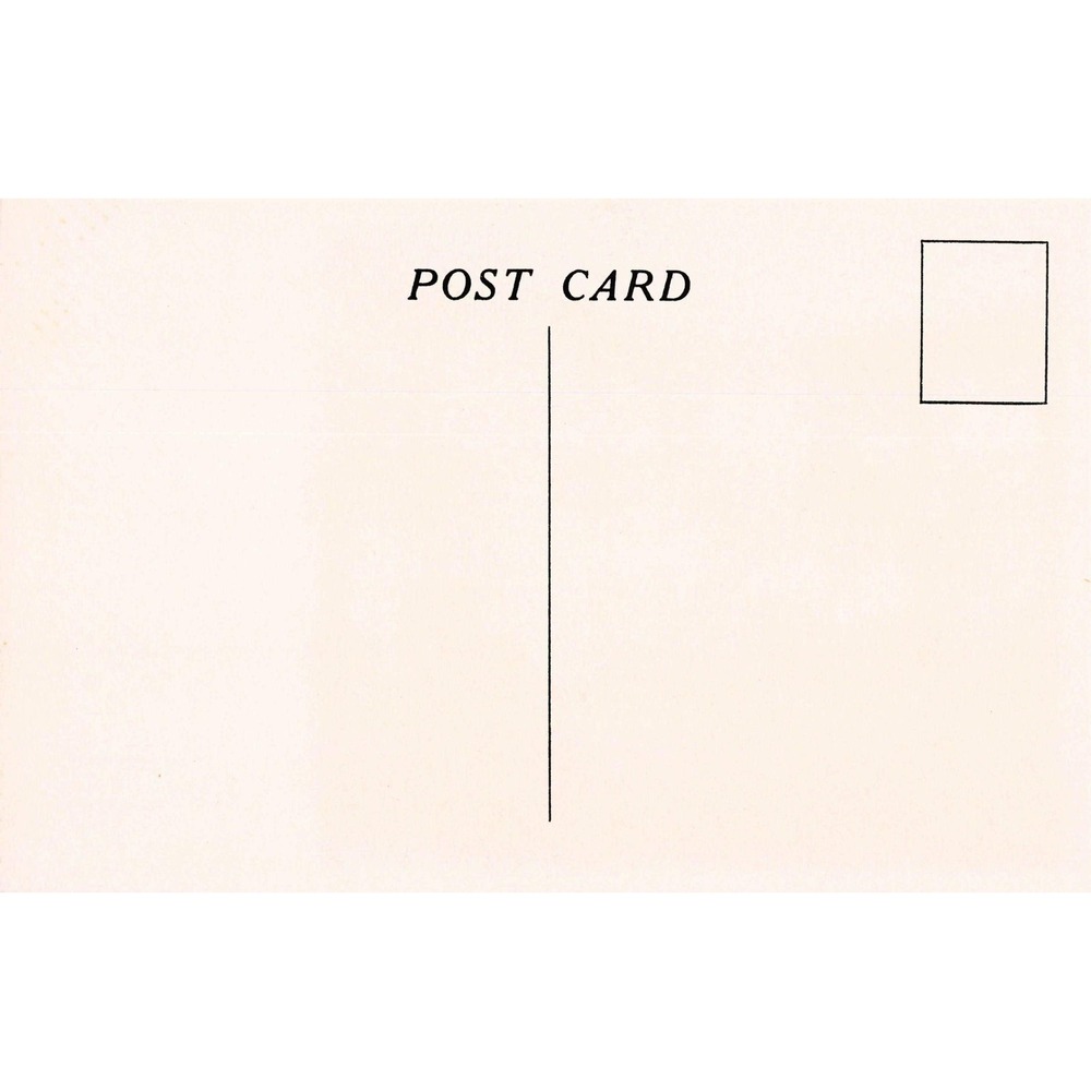 Hyde Park NY Franklin D Roosevelt Home Library Postcard Ruth Perkins Safford - Picture 2 of 2
